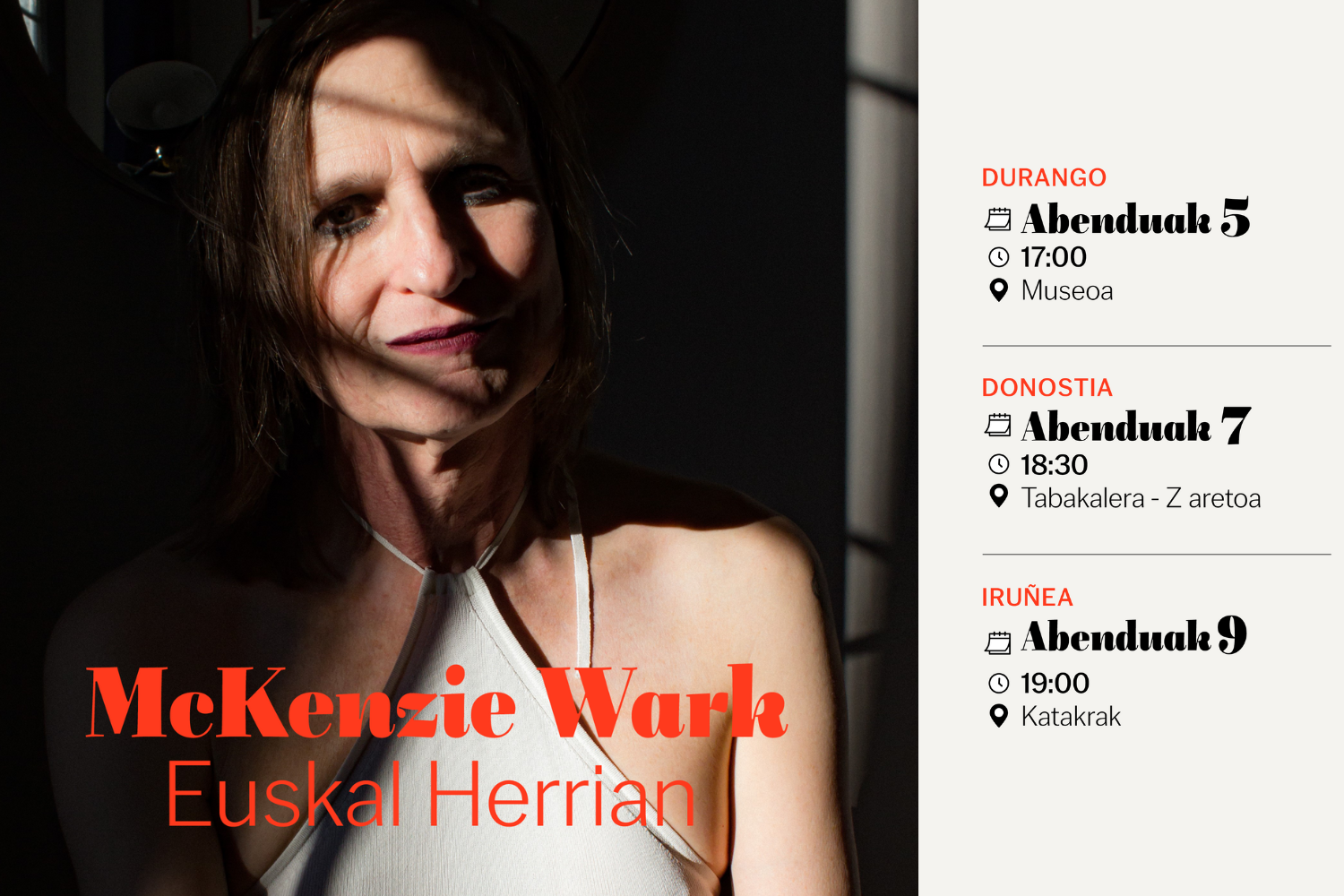 McKenzie Wark Euskal Herrian